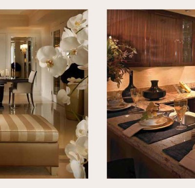 Ritz Singer Island Mailer