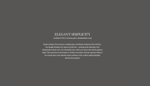 Luxury Real Estate Development _7